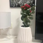 La Madre Apartmán