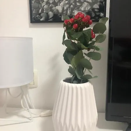 La Madre Apartman